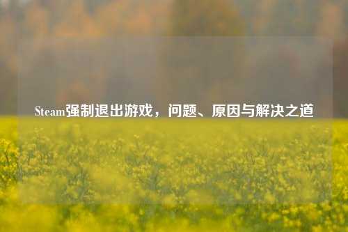Steam强制退出游戏，问题、原因与解决之道