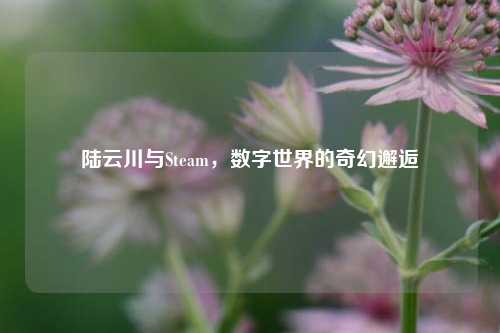 陆云川与Steam，数字世界的奇幻邂逅