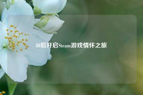 80后开启Steam游戏情怀之旅