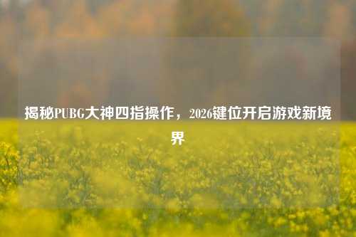 揭秘PUBG大神四指操作,2026键位开启游戏新境界