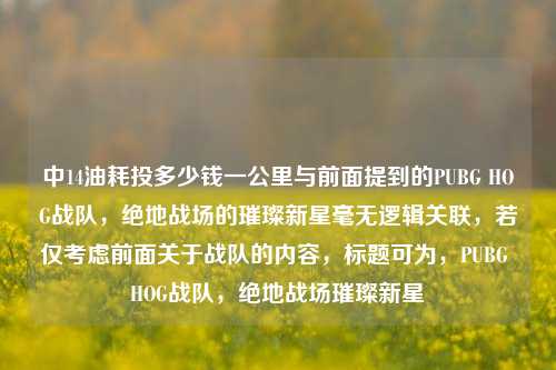 中14油耗投多少钱一公里与前面提到的PUBG HOG战队,绝地战场的璀璨新星毫无逻辑关联,若仅考虑前面关于战队的内容,标题可为,PUBG HOG战队,绝地战场璀璨新星