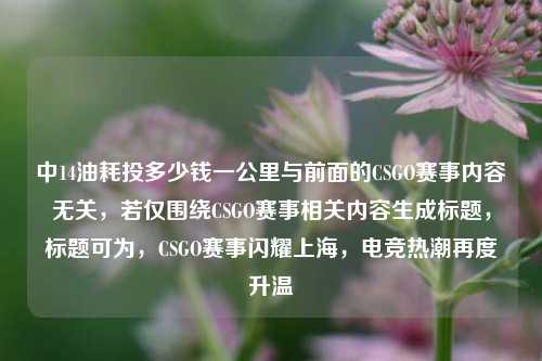 中14油耗投多少钱一公里与前面的CSGO赛事内容无关,若仅围绕CSGO赛事相关内容生成标题,标题可为,CSGO赛事闪耀上海,电竞热潮再度升温