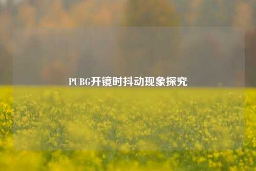 PUBG开镜时抖动现象探究
