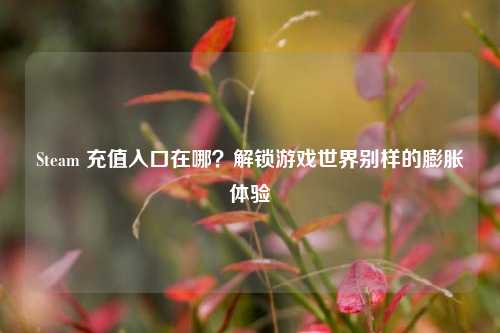Steam 充值入口在哪？解锁游戏世界别样的膨胀体验