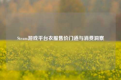 Steam游戏平台衣服售价门道与消费洞察