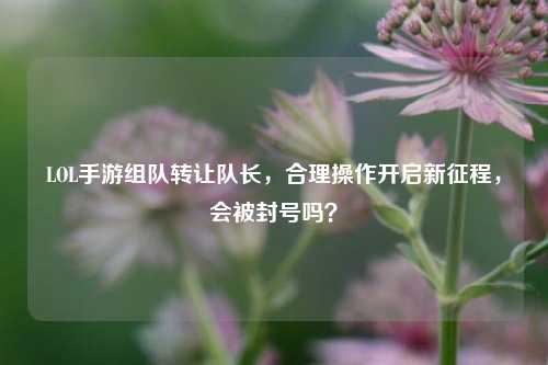 LOL手游组队转让队长,合理操作开启新征程,会被封号吗?