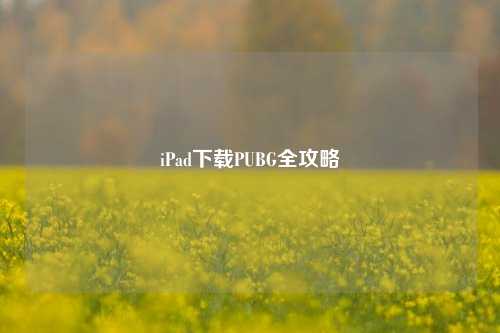 iPad下载PUBG全攻略