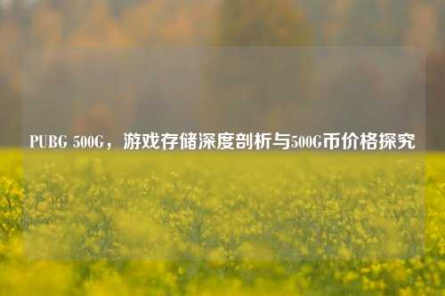 PUBG 500G,游戏存储深度剖析与500G币价格探究