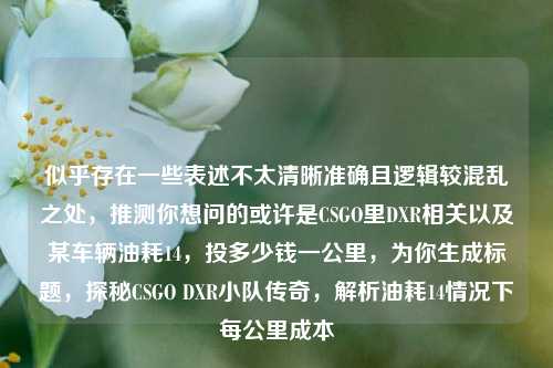 似乎存在一些表述不太清晰准确且逻辑较混乱之处,推测你想问的或许是CSGO里DXR相关以及某车辆油耗14,投多少钱一公里,为你生成标题,探秘CSGO DXR小队传奇,解析油耗14情况下每公里成本