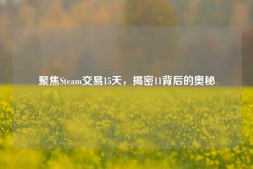 聚焦Steam交易15天,揭密11背后的奥秘
