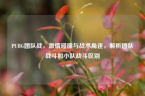 PUBG团队战,激情碰撞与战术角逐,解析团队战斗和小队战斗区别