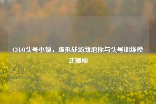 CSGO头号小镇,虚拟战场新地标与头号训练模式揭秘