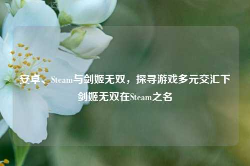 安卓、Steam与剑姬无双，探寻游戏多元交汇下剑姬无双在Steam之名