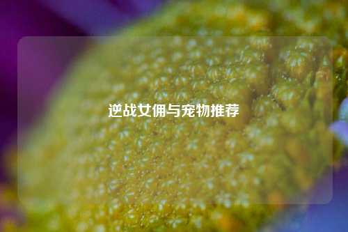 逆战女佣与宠物推荐
