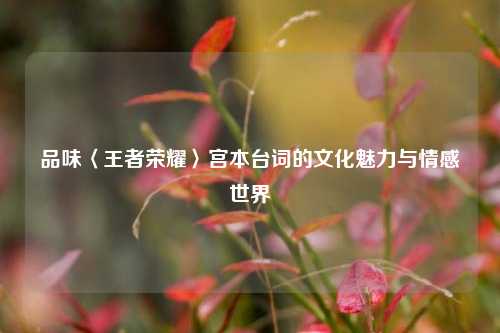 品味〈王者荣耀〉宫本台词的文化魅力与情感世界