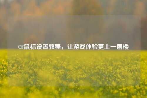 CF鼠标设置教程,让游戏体验更上一层楼