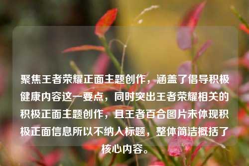 聚焦王者荣耀正面主题创作,涵盖了倡导积极健康内容这一要点,同时突出王者荣耀相关的积极正面主题创作,且王者百合图片未体现积极正面信息所以不纳入标题,整体简洁概括了核心内容。