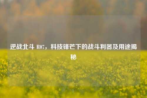 逆战北斗 R07,科技锋芒下的战斗利器及用途揭秘