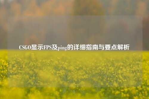CSGO显示FPS及ping的详细指南与要点解析