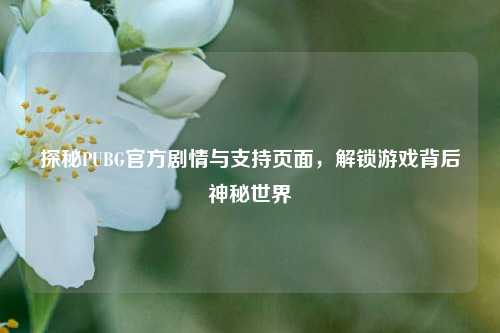 探秘PUBG官方剧情与支持页面,解锁游戏背后神秘世界