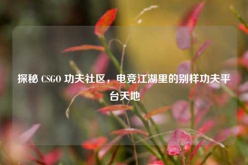 探秘 CSGO 功夫社区,电竞江湖里的别样功夫平台天地