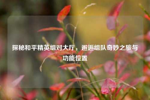 探秘和平精英组对大厅,邂逅组队奇妙之旅与功能位置