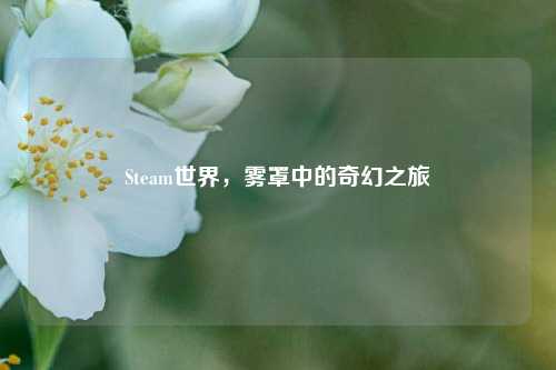 Steam世界，雾罩中的奇幻之旅