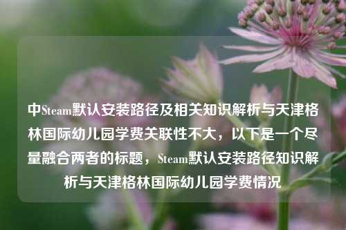 中Steam默认安装路径及相关知识解析与天津格林国际幼儿园学费关联性不大，以下是一个尽量融合两者的标题，Steam默认安装路径知识解析与天津格林国际幼儿园学费情况