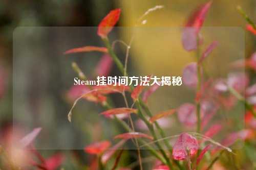 Steam挂时间方法大揭秘