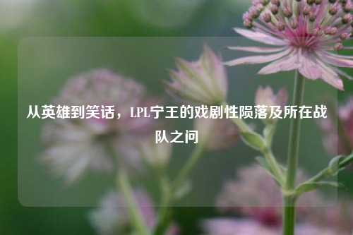 从英雄到笑话,LPL宁王的戏剧性陨落及所在战队之问