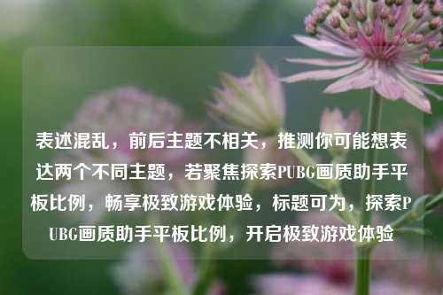 表述混乱,前后主题不相关,推测你可能想表达两个不同主题,若聚焦探索PUBG画质助手平板比例,畅享极致游戏体验,标题可为,探索PUBG画质助手平板比例,开启极致游戏体验