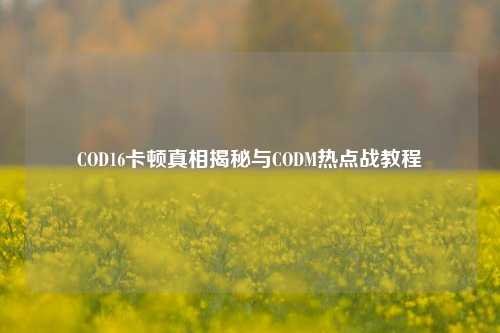 COD16卡顿真相揭秘与CODM热点战教程