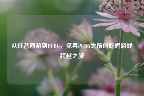 从往昔网游到PUBG，探寻PUBG之前的吃鸡游戏跨越之旅