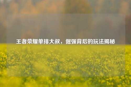 王者荣耀单排大叔,倔强背后的玩法揭秘