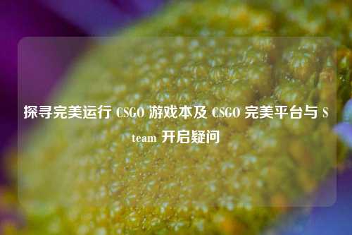 探寻完美运行 CSGO 游戏本及 CSGO 完美平台与 Steam 开启疑问