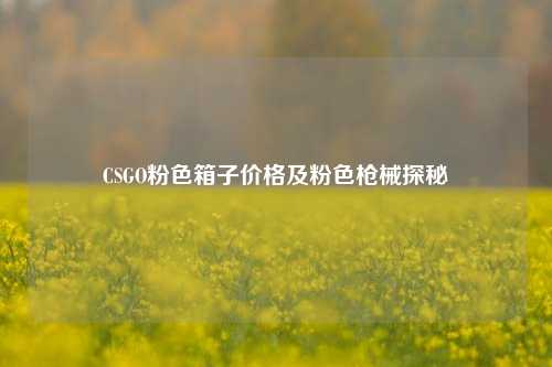 CSGO粉色箱子价格及粉色枪械探秘