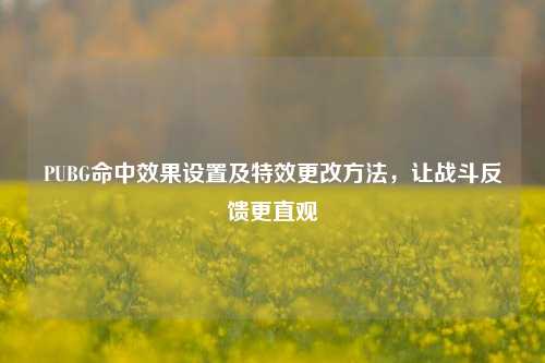 PUBG命中效果设置及特效更改方法,让战斗反馈更直观