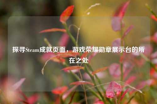 探寻Steam成就页面,游戏荣耀勋章展示台的所在之处