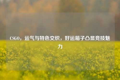 CSGO,运气与特色交织,好运箱子凸显竞技魅力