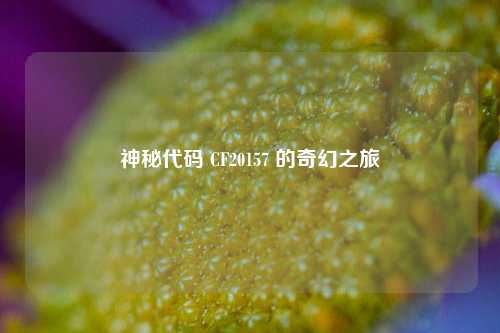 神秘代码 CF20157 的奇幻之旅