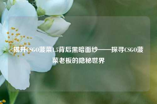 揭开CSGO菠菜1.5背后黑暗面纱——探寻CSGO菠菜老板的隐秘世界
