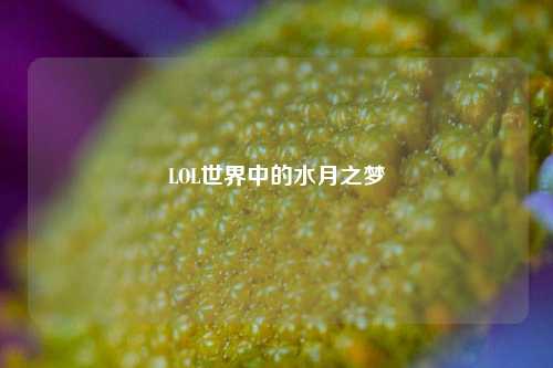 LOL世界中的水月之梦