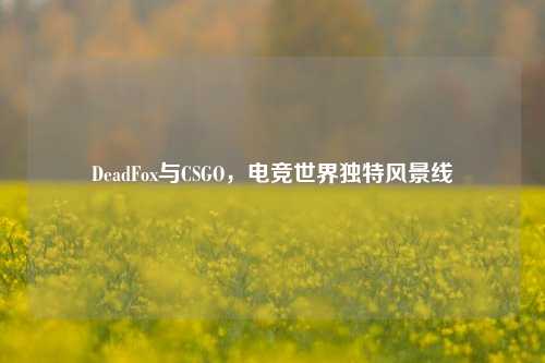 DeadFox与CSGO，电竞世界独特风景线