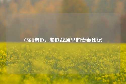 CSGO老ID,虚拟战场里的青春印记