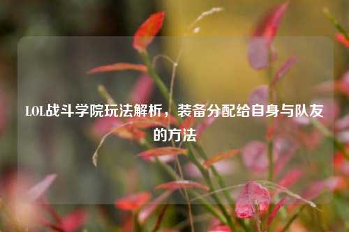 LOL战斗学院玩法解析,装备分配给自身与队友的方法