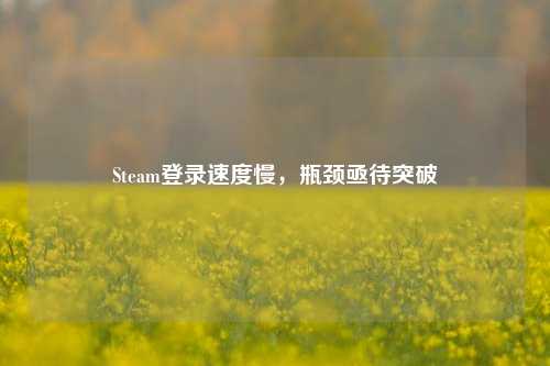 Steam登录速度慢，瓶颈亟待突破