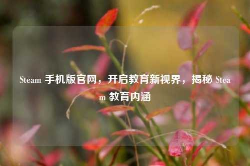 Steam 手机版官网,开启教育新视界,揭秘 Steam 教育内涵