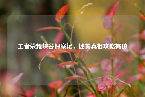 王者荣耀峡谷探案记,迷雾真相攻略揭秘