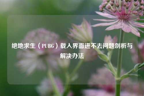 绝地求生(PUBG)载入界面进不去问题剖析与解决办法