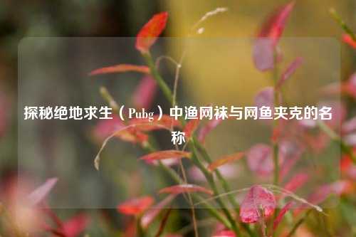 探秘绝地求生(Pubg)中渔网袜与网鱼夹克的名称